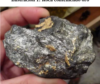 Ilustración 1: Roca conteniendo oro 