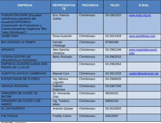 TABLA N°01  UNIDAD DE ANÁLISIS 