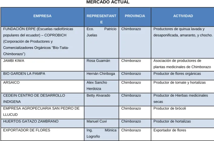 TABLA N°02  MERCADO ACTUAL 