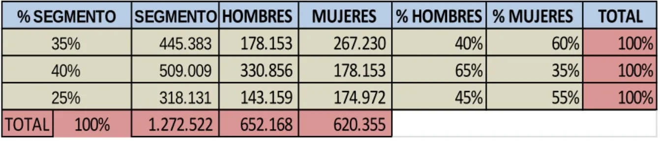TABLA Nº 13. Segmento de Mercado 