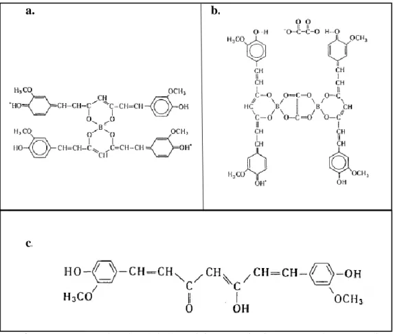 Figura  8.  Estructura  molecular  del  Complejo  Rosacianina  (a.),  Rubrocurcumina  (b.) y Curcumina (c.) 