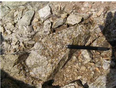 Figura 1.11 muestra de alteración cloritizada en matriz de roca          granodioritica
