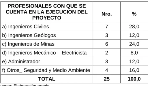 Cuadro N O  08. Profesionales con que se cuenta en la  ejecución del proyecto 