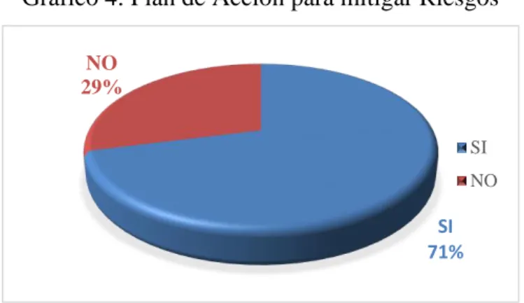 Gráfico 4: Plan de Acción para mitigar Riesgos 