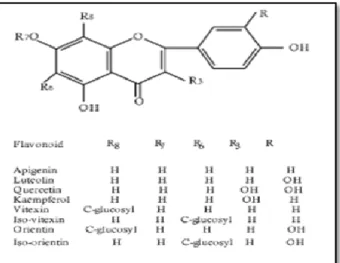 Gráfico 1-1 Estructuras de flavonoides más  importantes de la familia  Passifloraceae 