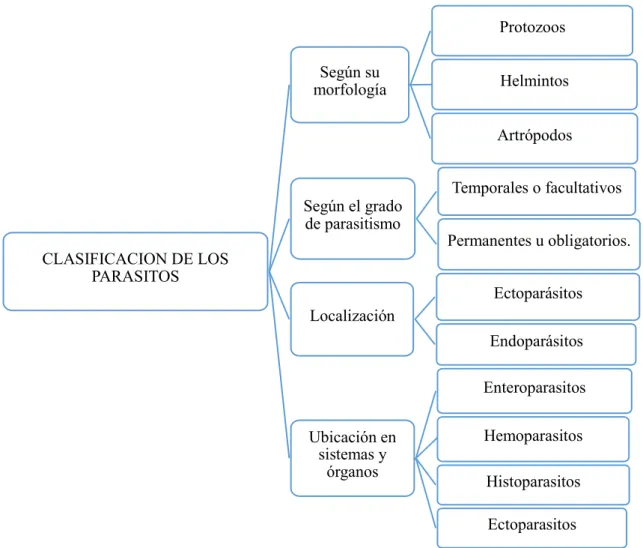 Figura 1-1. Clasificación de los parásitos 