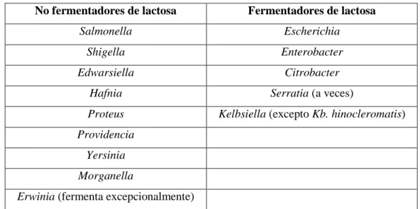 Tabla 5-1: Integrantes de la familia Enterobacteriaceae, según su comportamiento frente        a la lactosa