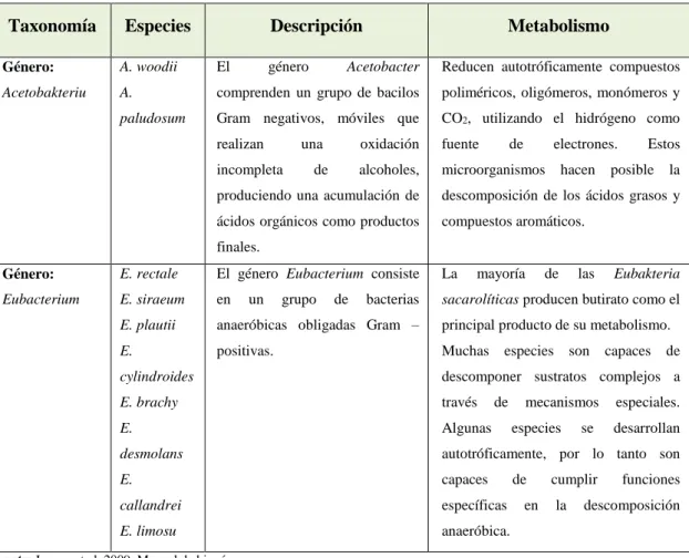 Tabla 6 – 1: Bacterias que participan en el proceso de fermentación durante las cuatro fases 