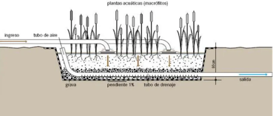 Tabla  9-1  Profundidad  de  las  raíces  de  la  vegetación  emergente  en  los  humedales  de  flujo  horizontal subruperficial 