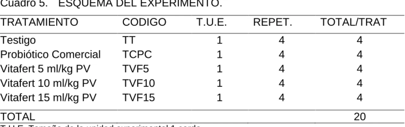 Cuadro 5.  ESQUEMA DEL EXPERIMENTO. 