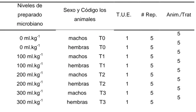 Cuadro 8.  ESQUEMA DEL EXPERIMENTO. 