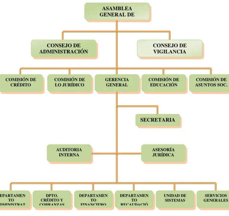 Tabla I.I. Organigrama Estructural CACECH 