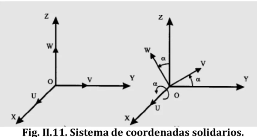 Fig. II.11. Sistema de coordenadas solidarios. 