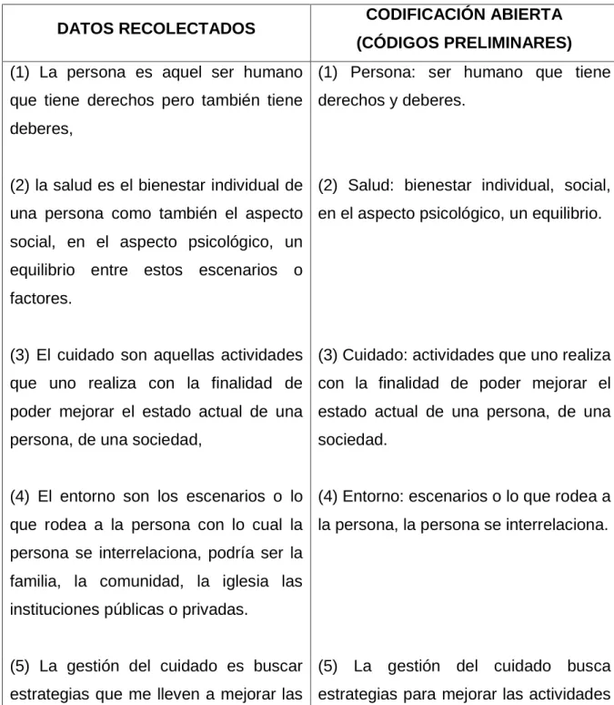 CUADRO DE CODIFICACIÓN ABIERTA  DISCURSO V 