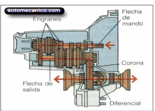 Figura 17. Corte longitudinal de una caja de cambios 
