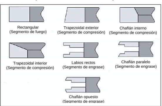 Figura 7. Sección trasversal de los segmentos