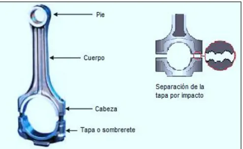 Figura 9. Pates de la biela