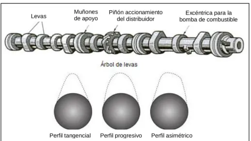 Figura 18. Árbol de levas y sus perfiles