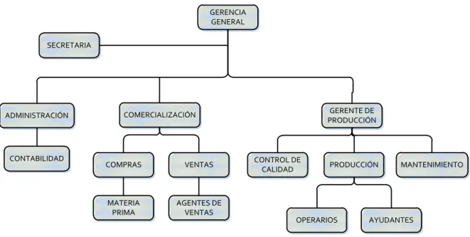 Figura 6: Organigrama estructural de la Empresa 