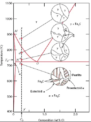 Figura  2.19:  Representación  esquemática  de  las  microestructuras  de  un  acero  al  carbono  hipoeutectoide  de composición C 0  (menor de 0,77%C) a medida que se  enfría  desde  la  fase  austenítica  hasta  por  debajo  de  la  temperatura eutectoi