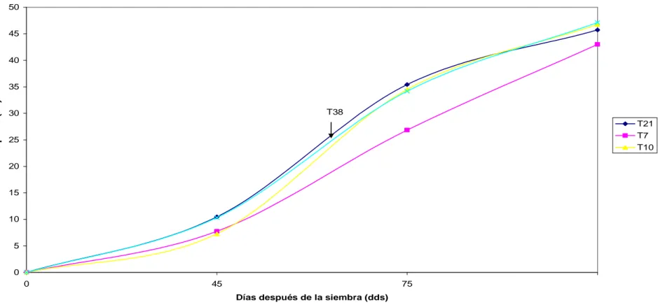 Gráfico 2. Curva de desarrollo de cuatro genotipos de papa sometidos a estrés hídrico en la localidad de Pusniag San Patricio, provincia de                           