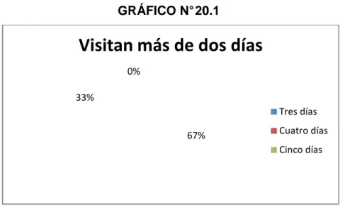 GRÁFICO N° 20.1 