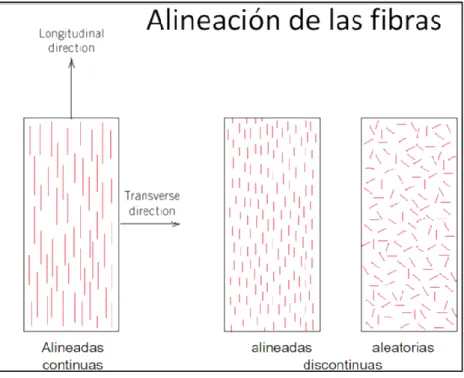 Figura 12: Alineación de las fibras 