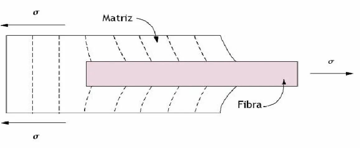 Figura 13: Patrón de deformación en una matriz que rodea a una fibra sometida a un esfuerzo de tracción