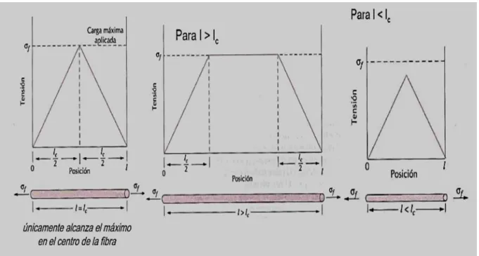 Figura 14: Perfiles de tensión según longitud crítica de la fibra.  