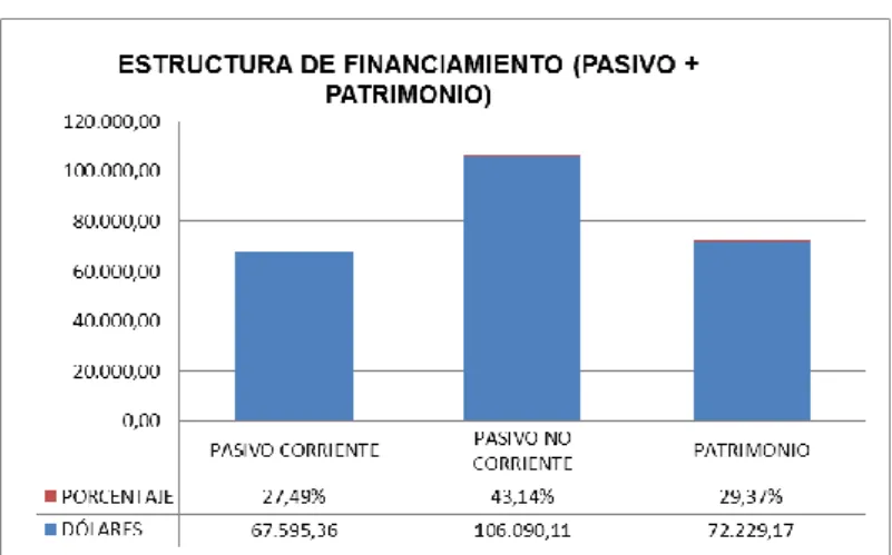 Tabla 10: Estructura del Financiamiento año 2013 