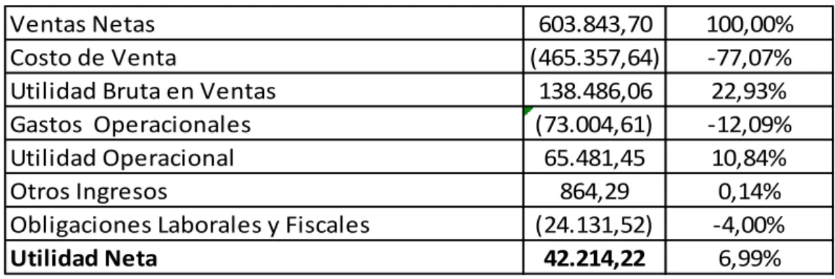 Tabla 12: Estructura de Ingresos y Costos año 2013 
