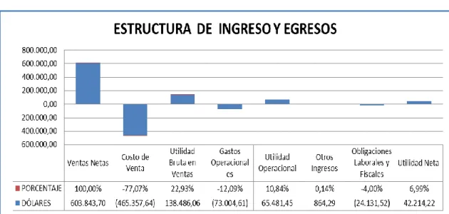 Gráfico 5: Estructura de Ingresos y Costos año 2013 