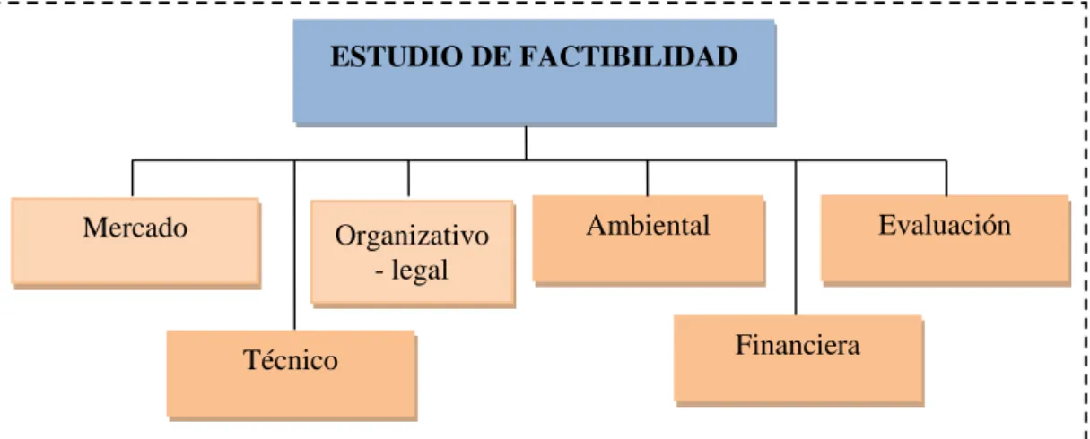 Gráfico 2: Estructura del estudio de factibilidad 