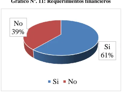 Gráfico Nº. 11: Requerimientos financieros