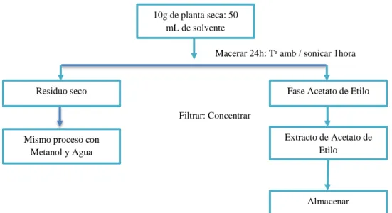 Figura 15. Proceso de elaboración de los extractos de Acetato de Etilo, Metanol y Agua de  Passiflora edulis y Passiflora quadrangularis 