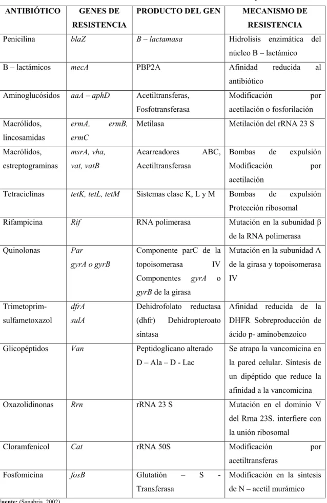 Cuadro 3-1. Resistencia de S. aureus a los antibióticos más importantes. 