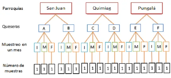 Gráfico 2-1.  Esquema del diseño experimental 
