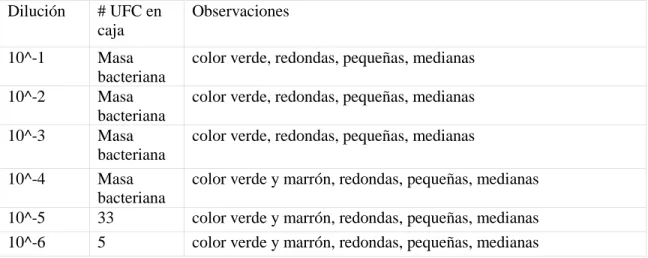 Tabla 3-16 Conteo de colonias bacterianas del tratamiento 3 CCM (celda con campos magneticos)  72 horas  Dilución   # UFC en  caja   Observaciones   10^-1   Masa  Bacteriana 