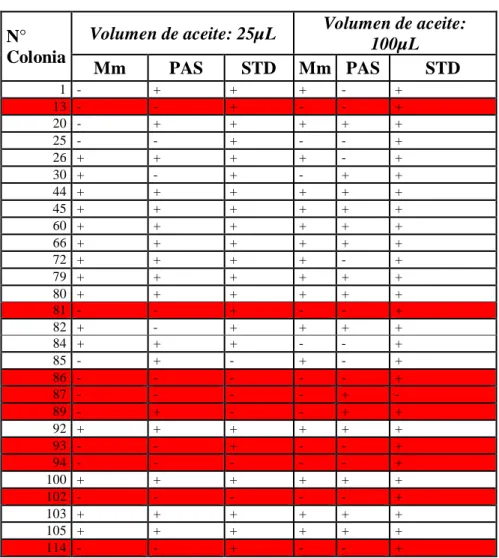 Tabla 13. Colonias resistentes a aceite contaminado con 43, 6 ppm de PCB’s 