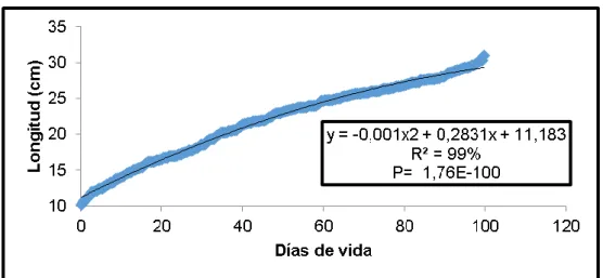 Gráfico 29. Evolución de la longitud del lomo en hembras. 