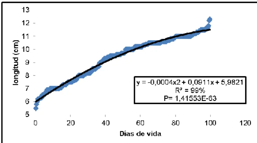 Gráfico 30. Evolución de la longitud de la cabeza en machos. 