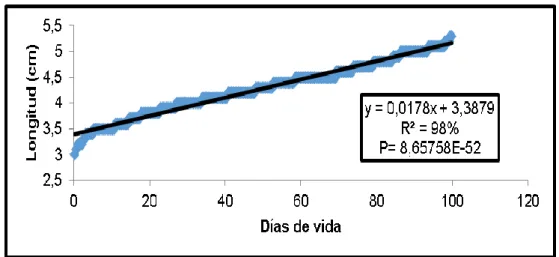 Gráfico 39. Evolución de la longitud de oreja en hembras. 