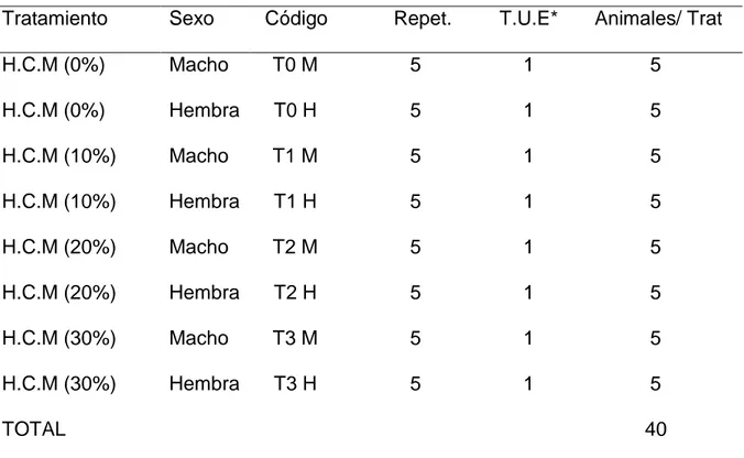 Cuadro 11.   ESQUEMA DEL EXPERIMENTO. 