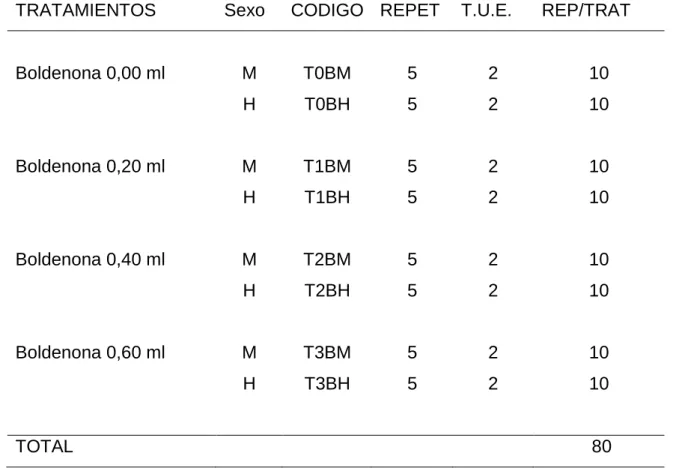 Cuadro 10.  ESQUEMA DEL EXPERIMENTO.  