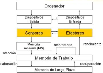Gráfico N° 10 Esquema de Procesamiento humano 