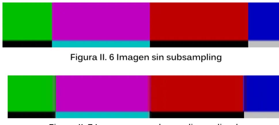 Figura II. 6 Imagen sin subsampling 