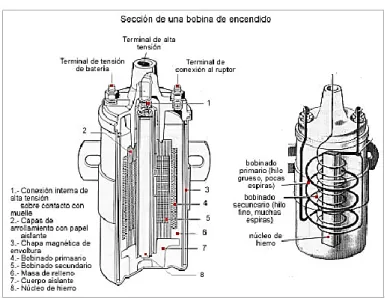 Figura 3. Bobina 