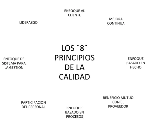 Figura 2. Principios para la gestión de la Calidad 