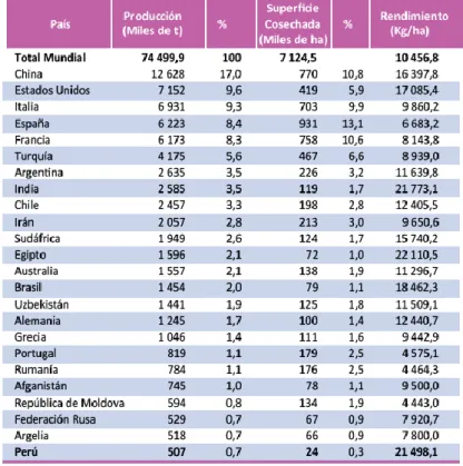 Tabla Nº04: La uva en el Mundo 