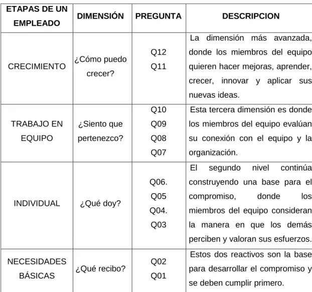 Tabla 7: Tabla de Dimensiones de Gallup- Q12  ETAPAS DE UN 